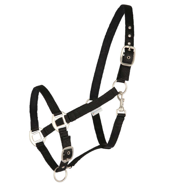 KANTRIE Halfter Satin